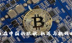 Pi币在中国的现状：机遇与