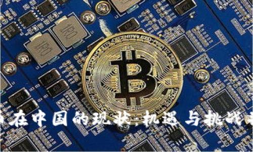 Pi币在中国的现状：机遇与挑战并存
