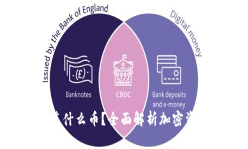 Tokenim能装什么币?全面解析加密资产的多样性