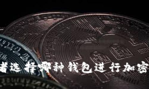 美国投资者选择哪种钱包进行加密货币投资?