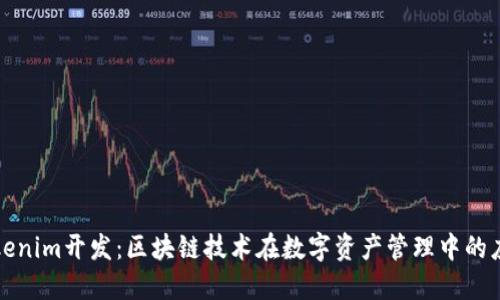 Tokenim开发：区块链技术在数字资产管理中的应用