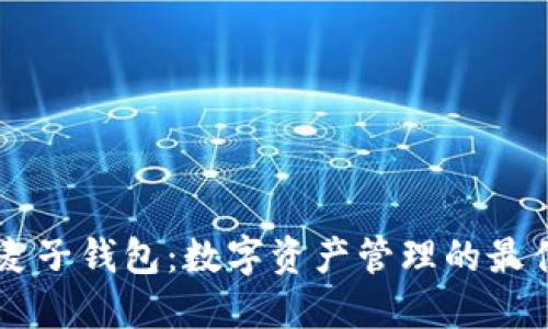 IM与麦子钱包:数字资产管理的最佳选择