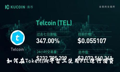 如何在Tokenim平台上使用FIL进行借贷