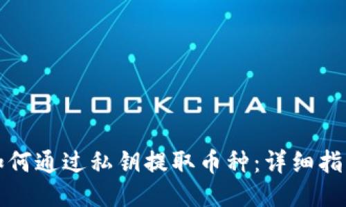 如何通过私钥提取币种:详细指南