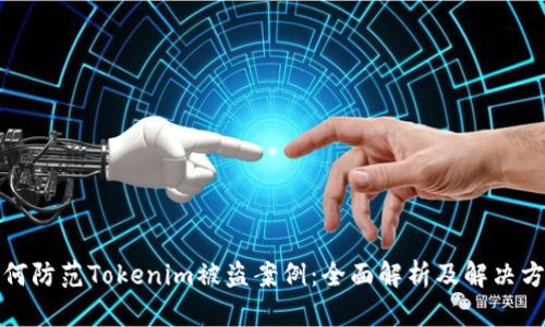 如何防范Tokenim被盗案例：全面解析及解决方案