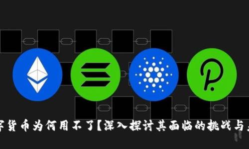 数字货币为何用不了？深入探讨其面临的挑战与未来