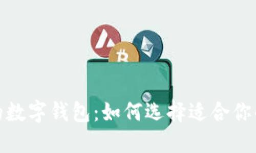 安全实用的数字钱包：如何选择适合你的数字钱包