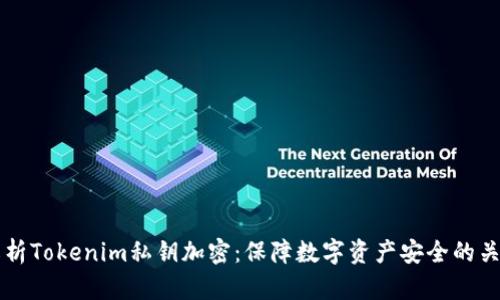 深度解析Tokenim私钥加密:保障数字资产安全的关键技术