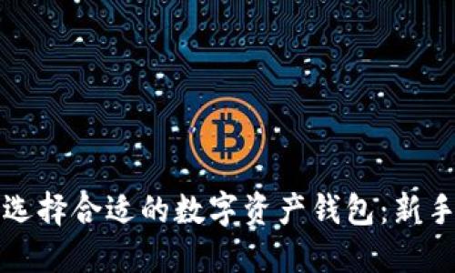 如何选择合适的数字资产钱包:新手指南