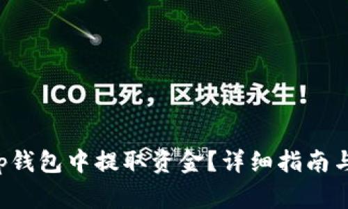 如何从Bitkeep钱包中提取资金?详细指南与常见问题解答