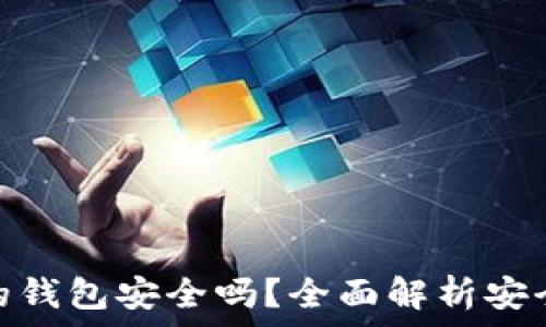 存虚拟币的钱包安全吗?全面解析安全性和风险
