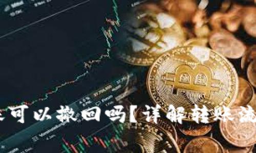 Tokenim转账可以撤回吗?详解转账流程与注意事项