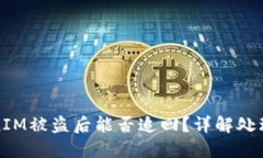 TokenIM被盗后能否追回？详