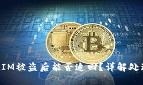 TokenIM被盗后能否追回?详解处理方案