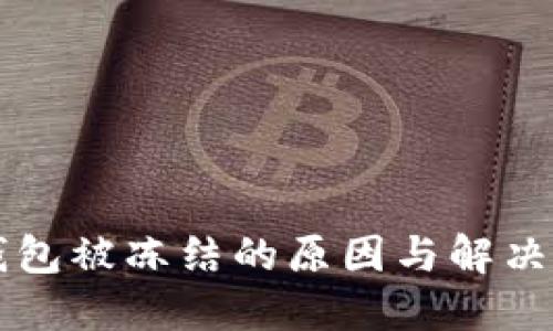 虚拟币钱包被冻结的原因与解决方法详解