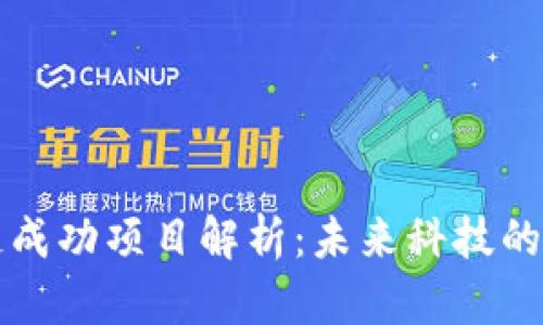 区块链成功项目解析:未来科技的领军者