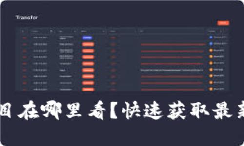 币圈首码项目在哪里看？快速获取最新信息的方法