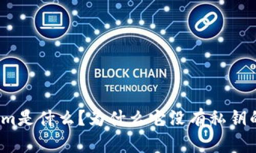 Tokenim是什么?为什么它没有私钥的设计?