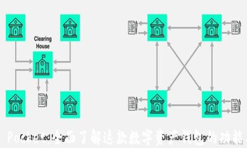 Token Pocket:全面了解这款数字资产钱包的功能与优势
