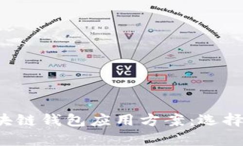 全面解析区块链钱包应用方案:选择、使用与安全