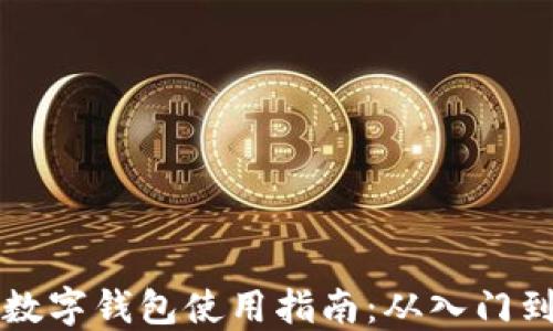 币圈数字钱包使用指南:从入门到精通