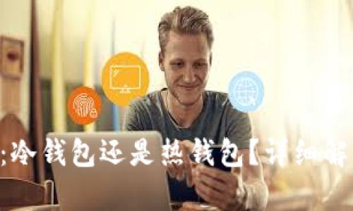 Tokenim：冷钱包还是热钱包？详细解析与比较
