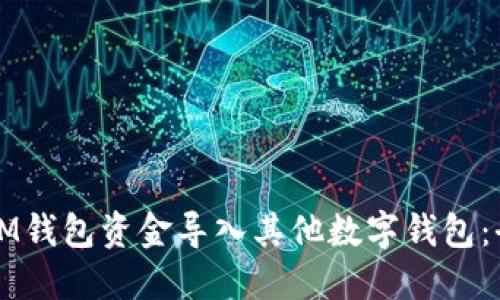 如何将IM钱包资金导入其他数字钱包：全面指南