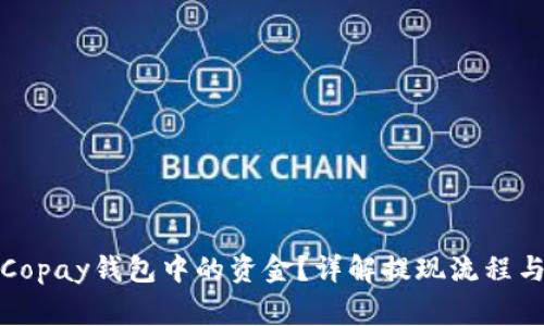 如何提现Copay钱包中的资金?详解提现流程与注意事项