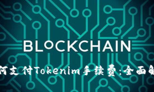 如何支付Tokenim手续费:全面解析