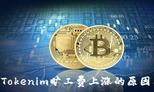 xls2023年Tokenim旷工费上涨的原因与应对策略