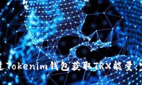 如何通过Tokenim钱包获取TRX能量:完全指南