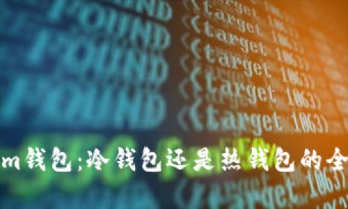Tokenim钱包:冷钱包还是热钱包的全面分析