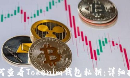 如何查看Tokenim钱包私钥:详细指南
