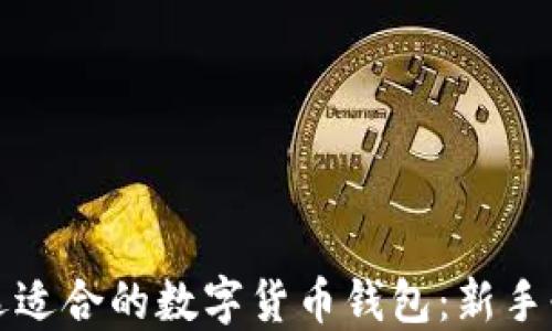 如何挑选适合的数字货币钱包:新手必看指南