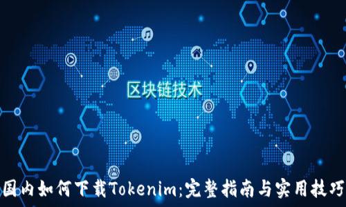 国内如何下载Tokenim:完整指南与实用技巧