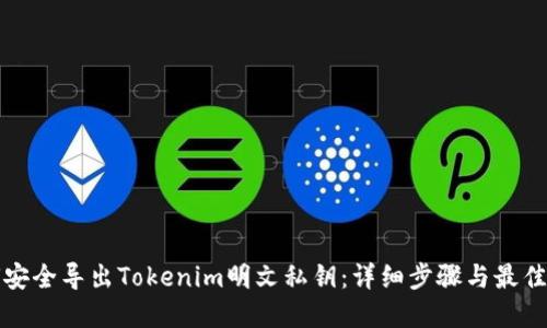 如何安全导出Tokenim明文私钥:详细步骤与最佳实践