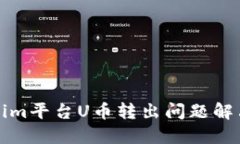 Tokenim平台U币转出问题解决