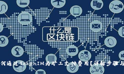 ### 如何通过TokenIM为矿工支付费用?详解步骤与注意事项
