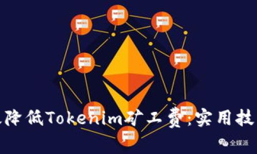 如何有效降低Tokenim矿工费：实用技巧与建议