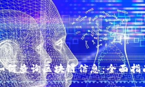 如何查询区块链信息：全面指南