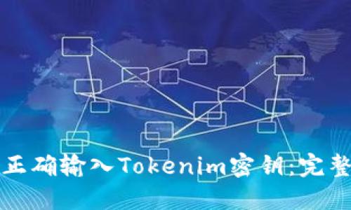 如何正确输入Tokenim密钥：完整指南