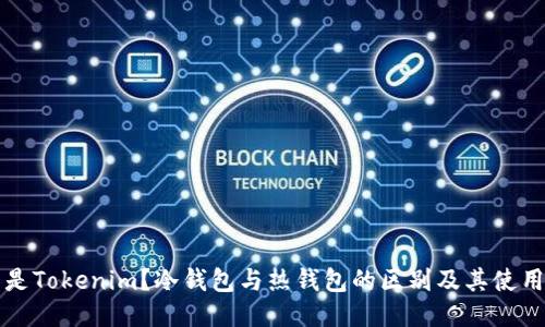 什么是Tokenim？冷钱包与热钱包的区别及其使用指南