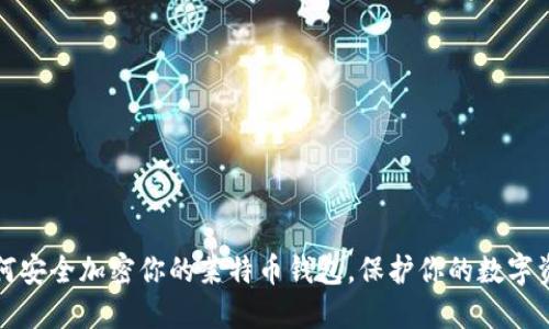 如何安全加密你的莱特币钱包,保护你的数字资产