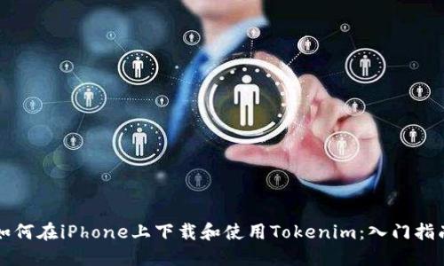 如何在iPhone上下载和使用Tokenim：入门指南