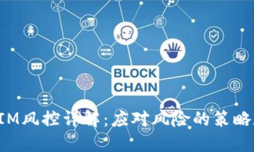 TokenIM风控详解:应对风险的策略和措施