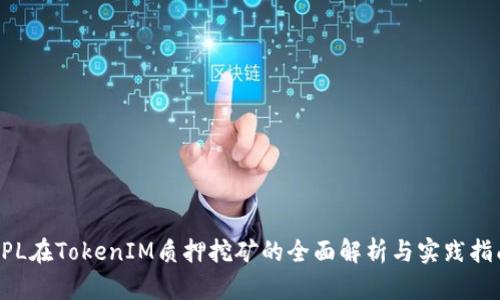 DPL在TokenIM质押挖矿的全面解析与实践指南