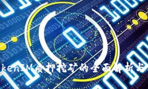 DPL在TokenIM质押挖矿的全面解析与实践指南