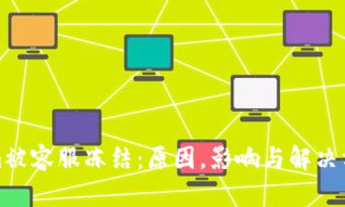 Tokenim被容服冻结:原因,影响与解决方案分析