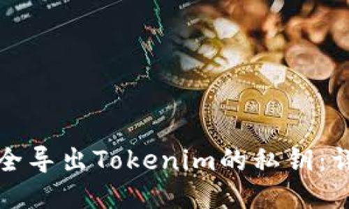 如何安全导出Tokenim的私钥：详细指南