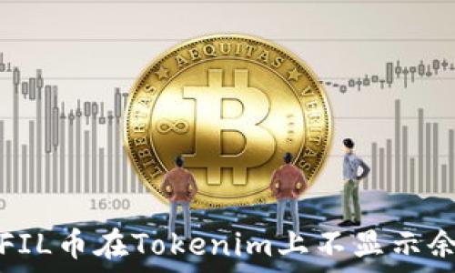 如何解决FIL币在Tokenim上不显示余额的问题